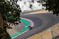 Laguna-Seca;event-digital-images;motorbikes;no-limits;peter-wileman-photography;trackday;trackday-digital-images